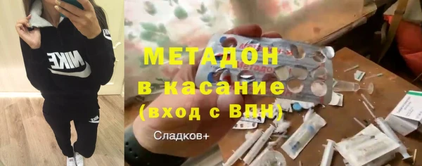 прущие грибы Бронницы