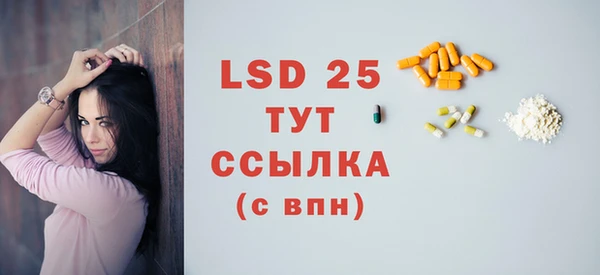 прущие грибы Бронницы