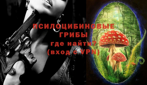 герыч Бугульма