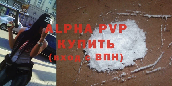 прущие грибы Бронницы