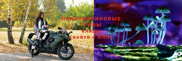 прущие грибы Бронницы