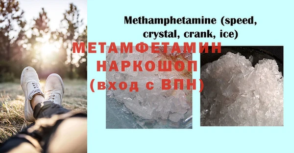 прущие грибы Бронницы