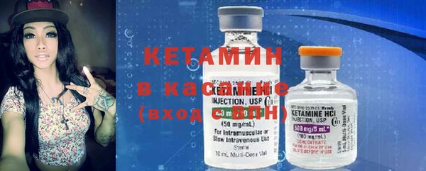 прущие грибы Бронницы