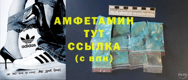 прущие грибы Бронницы