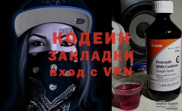 прущие грибы Бронницы