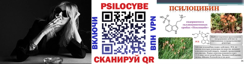 Галлюциногенные грибы Psilocybe  Ковылкино 